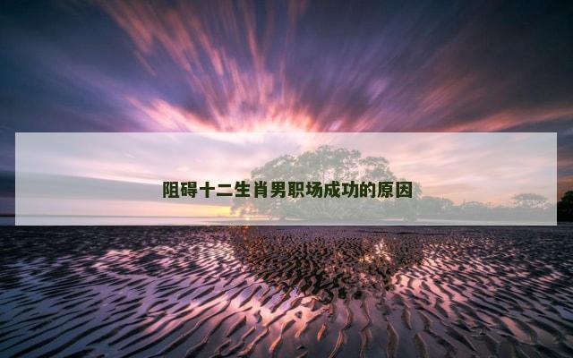 阻碍十二生肖男职场成功的原因