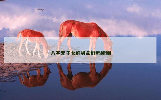 八字无子女的男命好吗婚姻