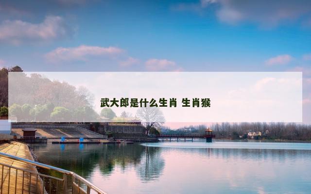 武大郎是什么生肖 生肖猴