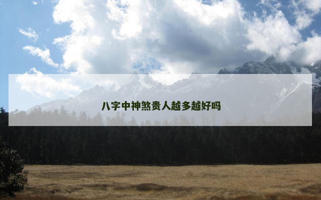 八字中神煞贵人越多越好吗