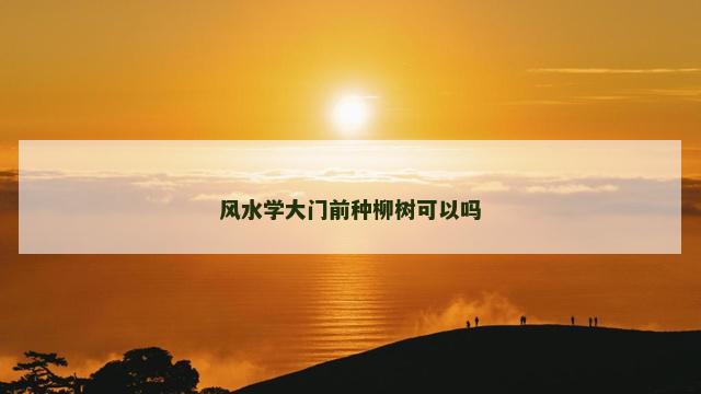 风水学大门前种柳树可以吗