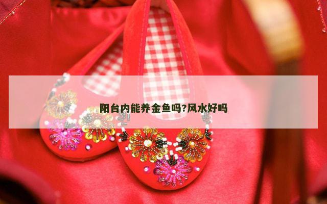阳台内能养金鱼吗?风水好吗