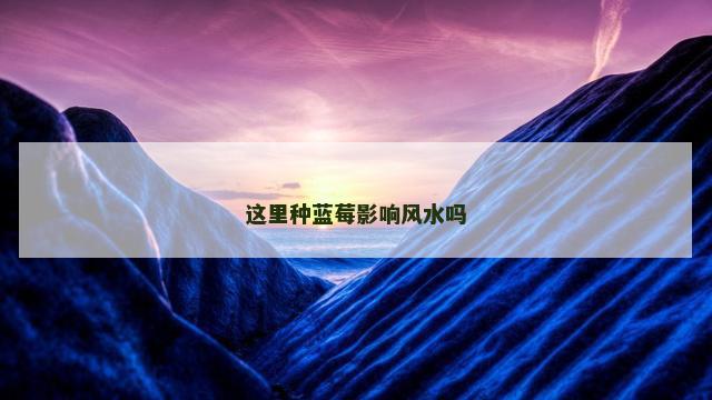 这里种蓝莓影响风水吗