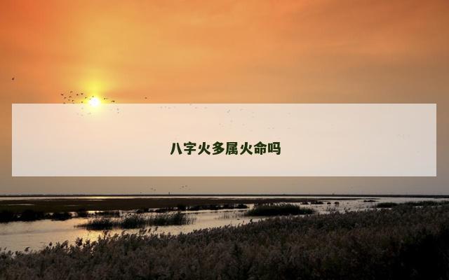 八字火多属火命吗