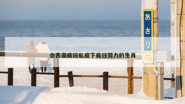 会表面疯玩私底下疯狂努力的生肖