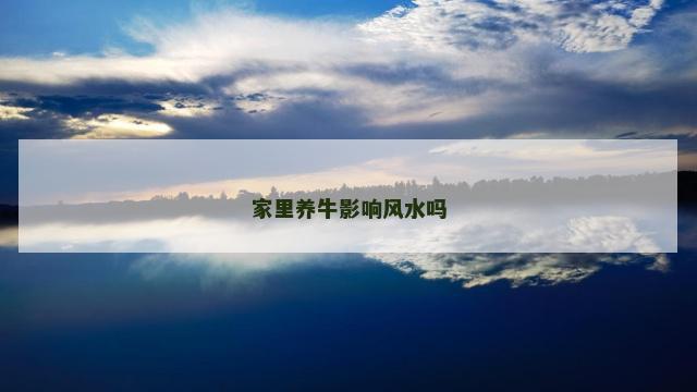 家里养牛影响风水吗