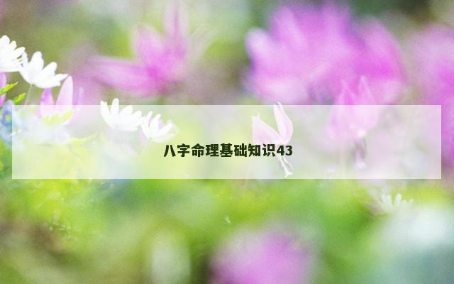 八字命理基础知识43