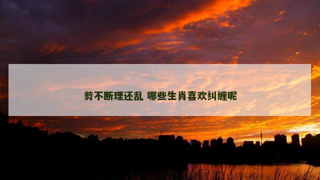 剪不断理还乱 哪些生肖喜欢纠缠呢