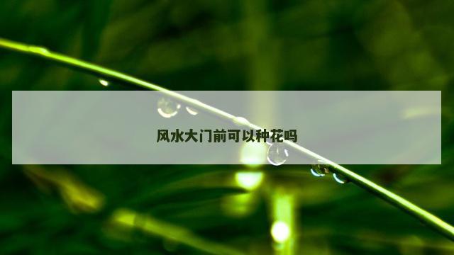 风水大门前可以种花吗