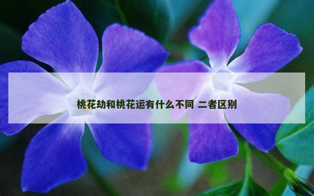 桃花劫和桃花运有什么不同 二者区别