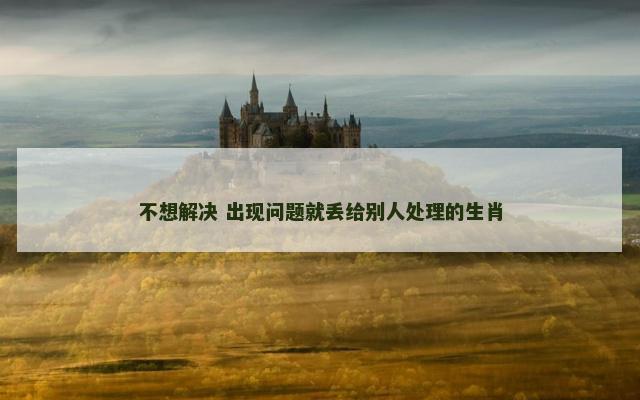 不想解决 出现问题就丢给别人处理的生肖