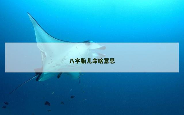八字胎儿命啥意思