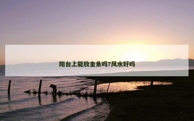 阳台上能放金鱼吗?风水好吗