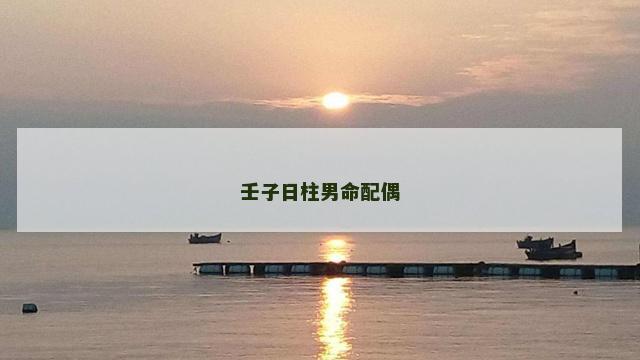 壬子日柱男命配偶