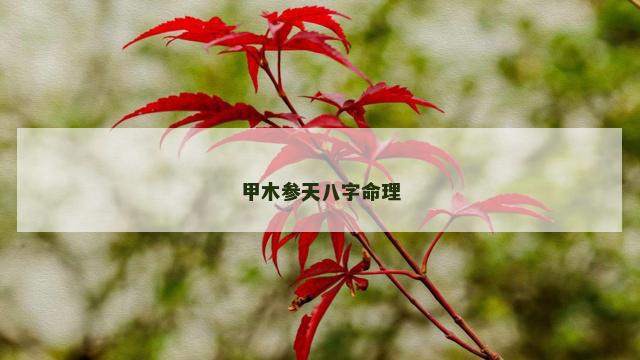 甲木参天八字命理
