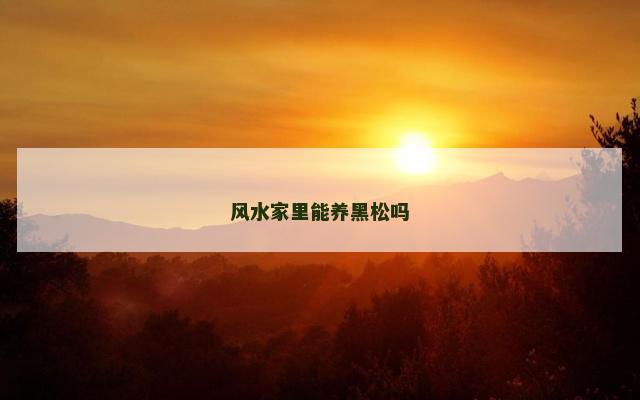 风水家里能养黑松吗