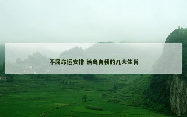 不屈命运安排 活出自我的几大生肖