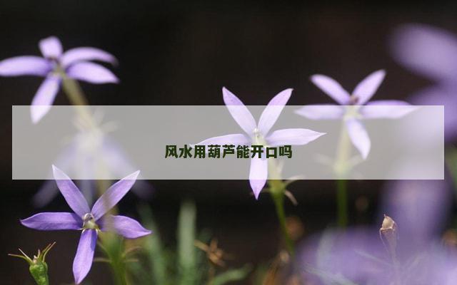 风水用葫芦能开口吗