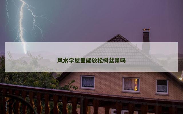 风水学屋里能放松树盆景吗