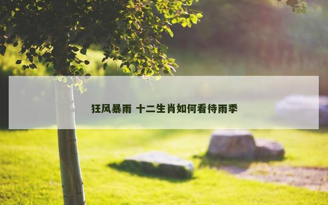 狂风暴雨 十二生肖如何看待雨季
