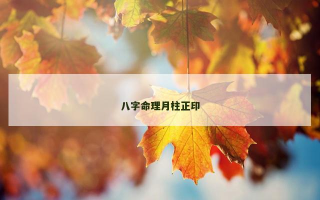 八字命理月柱正印