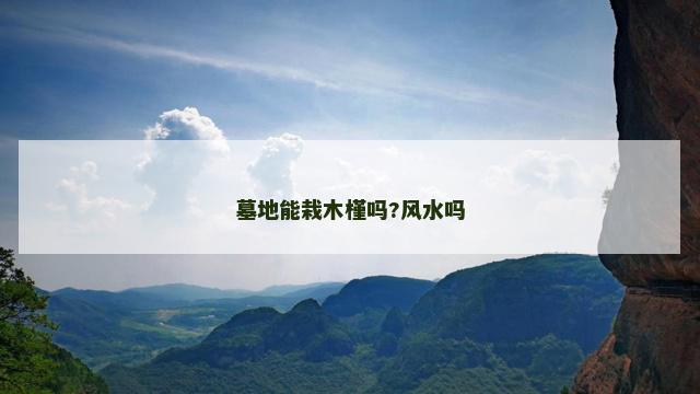 墓地能栽木槿吗?风水吗