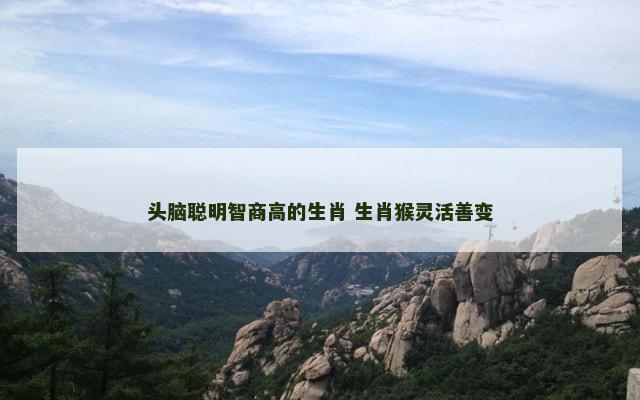 头脑聪明智商高的生肖 生肖猴灵活善变