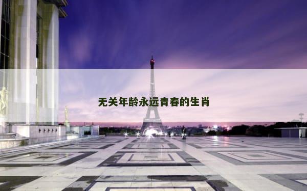 无关年龄永远青春的生肖