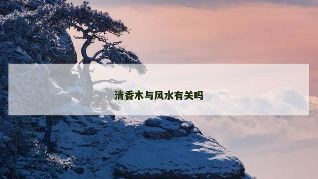 清香木与风水有关吗
