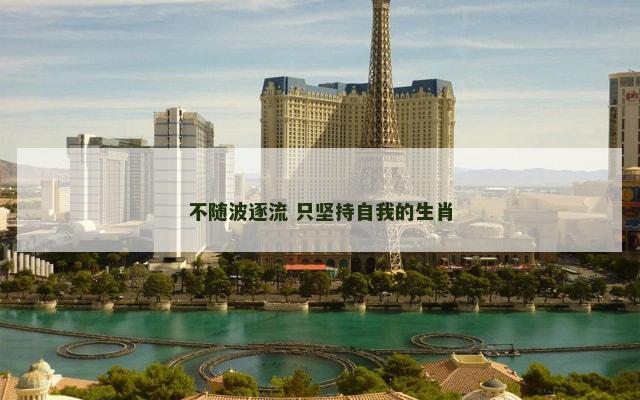 不随波逐流 只坚持自我的生肖