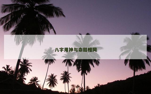 八字用神与命局相同