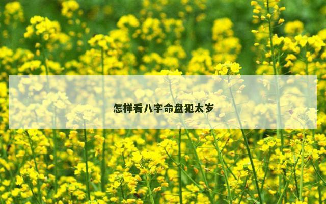 怎样看八字命盘犯太岁