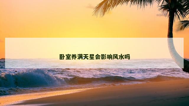 卧室养满天星会影响风水吗
