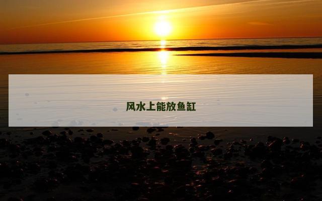 风水上能放鱼缸