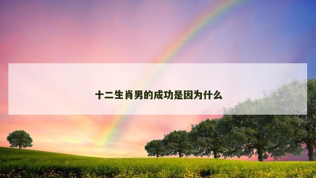 十二生肖男的成功是因为什么