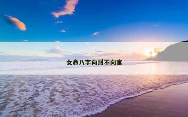 女命八字向财不向官
