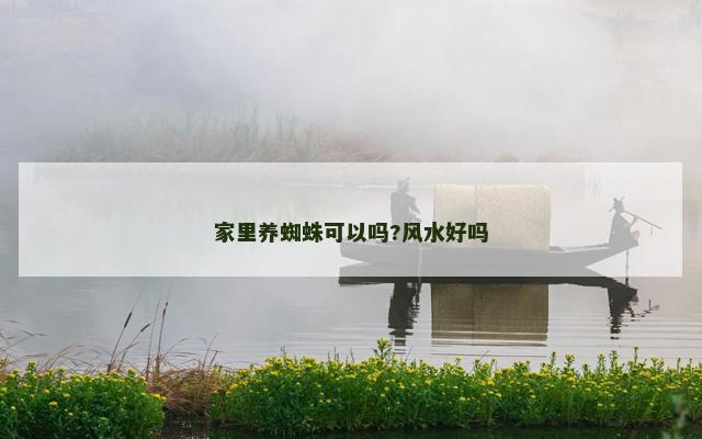家里养蜘蛛可以吗?风水好吗