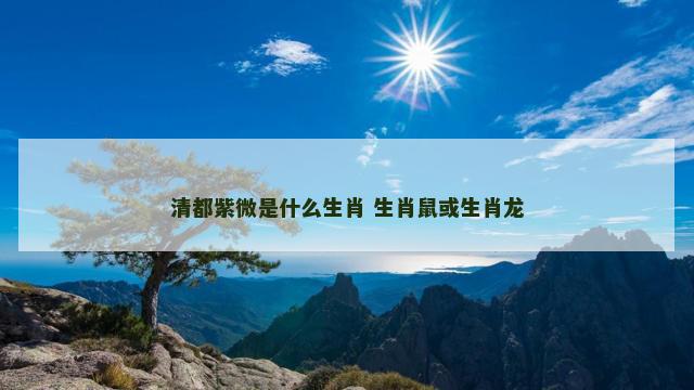 清都紫微是什么生肖 生肖鼠或生肖龙