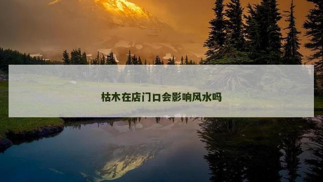 枯木在店门口会影响风水吗