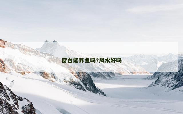 窗台能养鱼吗?风水好吗