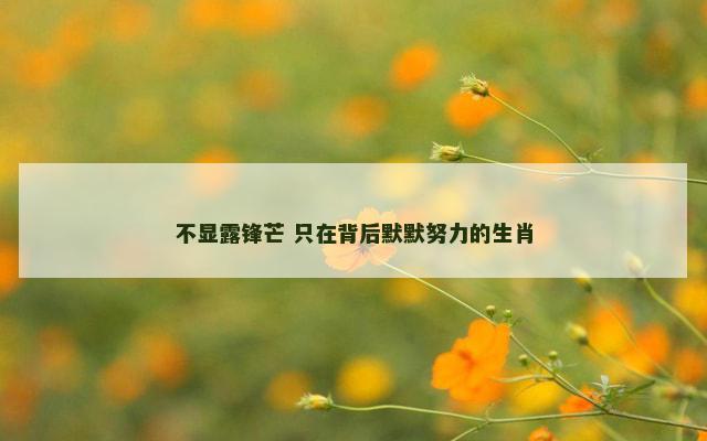 不显露锋芒 只在背后默默努力的生肖