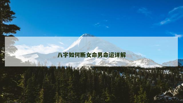 八字如何断女命男命运详解