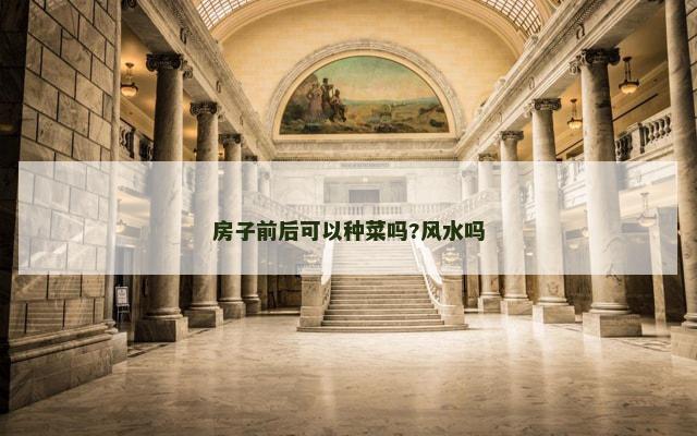 房子前后可以种菜吗?风水吗