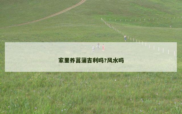 家里养菖蒲吉利吗?风水吗