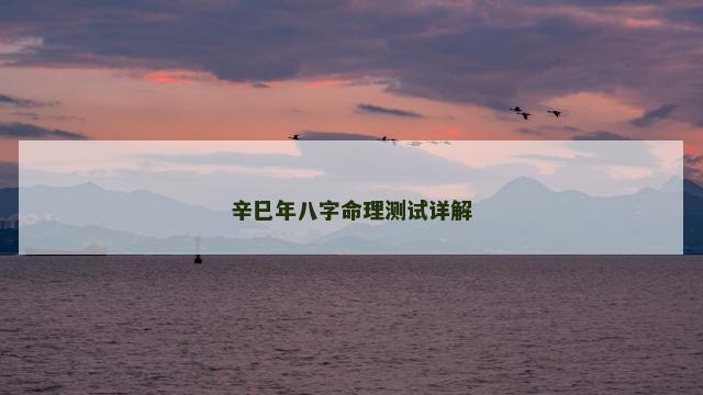 辛巳年八字命理测试详解