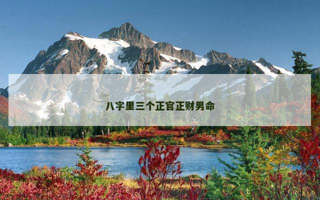 八字里三个正官正财男命