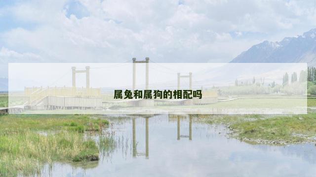 属兔和属狗的相配吗