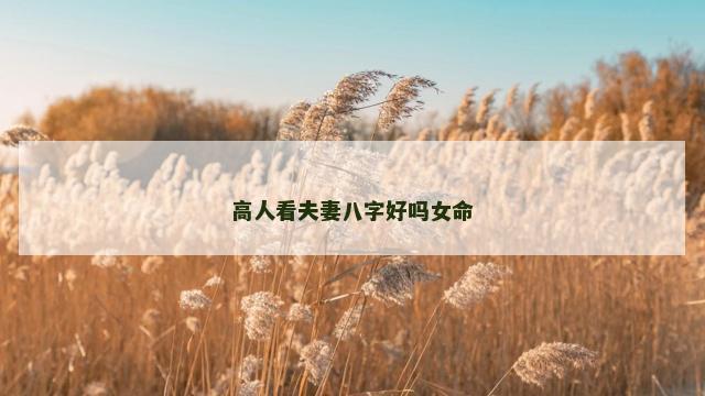 高人看夫妻八字好吗女命