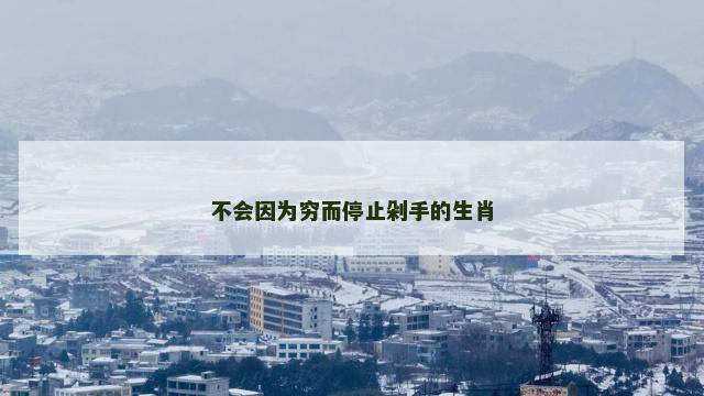 不会因为穷而停止剁手的生肖