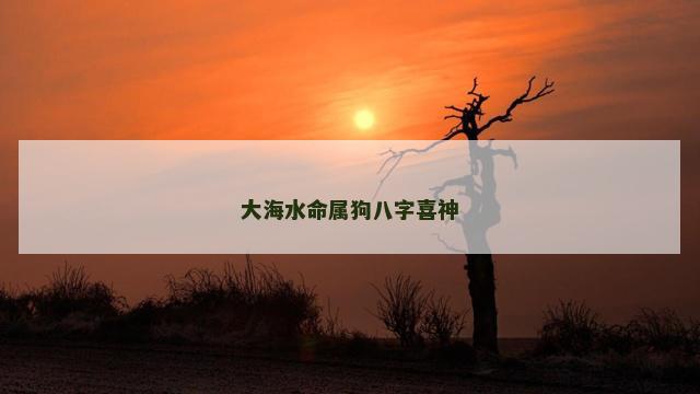 大海水命属狗八字喜神